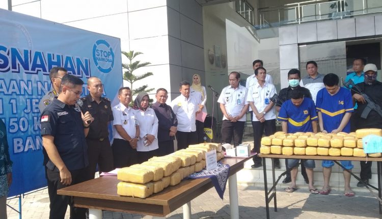 BNN Banten  Musnahkan 150 Kg Ganja yang  Akan Diedarkan di 