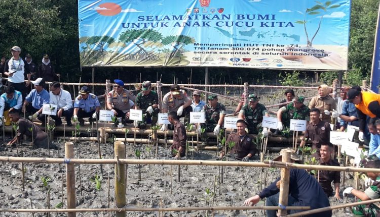 Tanam 300 Ribu Pohon Mangrove, TNI Pecahankan Rekor Muri · Faktabanten ...