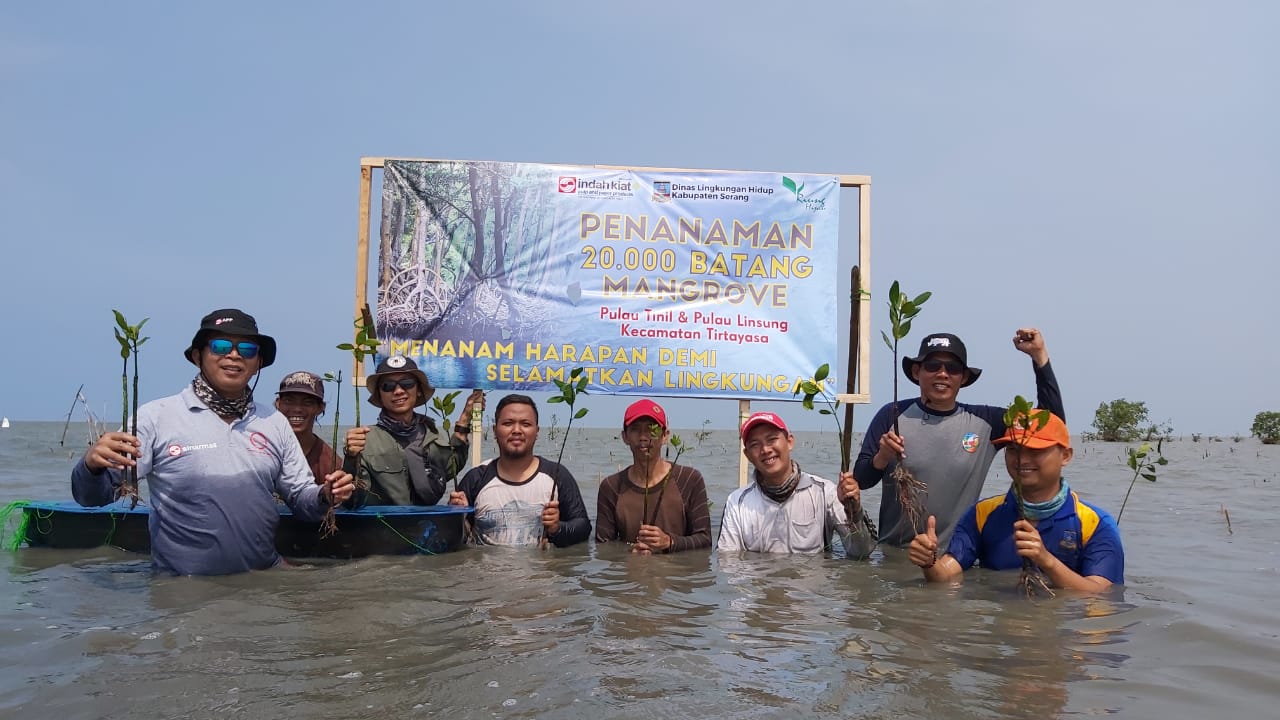DLH Kabupaten Serang Apresiasi Penanaman 20.000 Bibit Mangrove