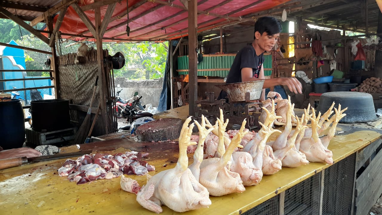 Pasokan Berkurang, Harga Daging Ayam di Pasar Rau Serang Capai Rp40.000