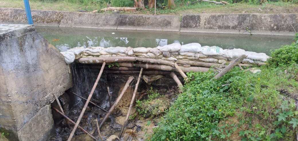 Irigasi Cikoncang Diduga Mandeg 40 Persen Pesawahan Di Wanasalam