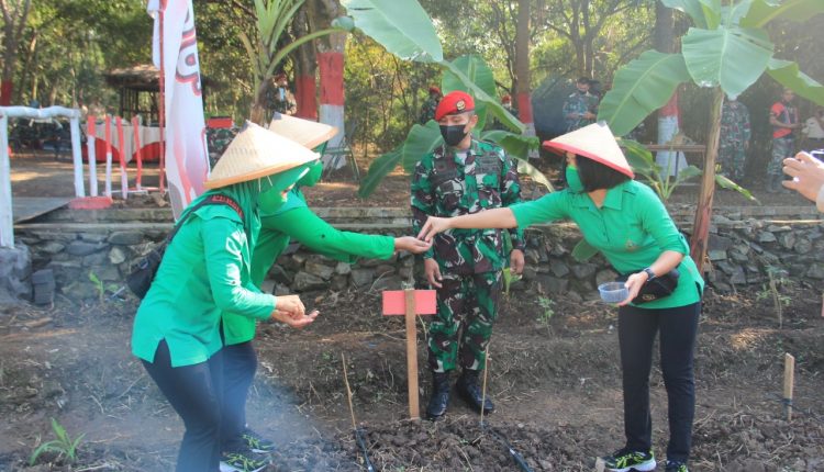 Grup 1 Kopassus Manfaatkan Lahan Kosong Untuk Ketahanan Pangan