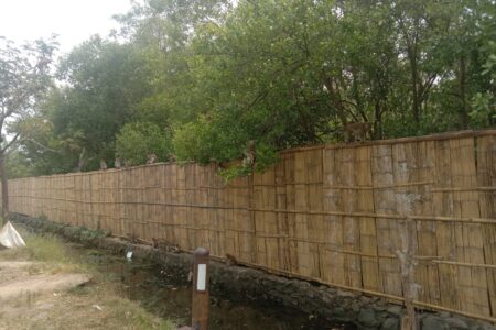 Diduga Habitatnya Dirusak, Monyet Berkeliaran di Pinggir Jalan Panimbang – Tanjung Lesung